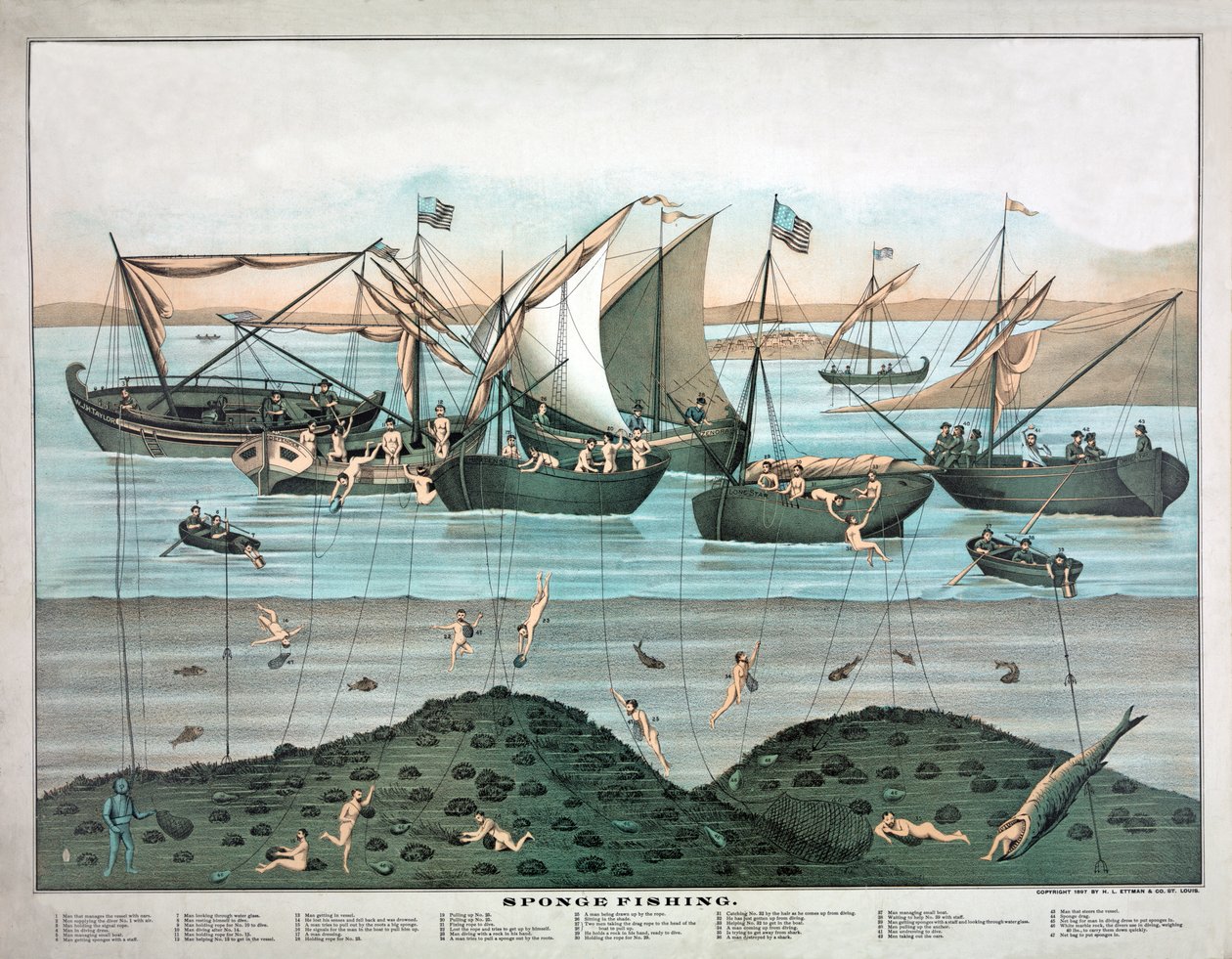 Schwammfischen, veröffentlicht 1897 von American School