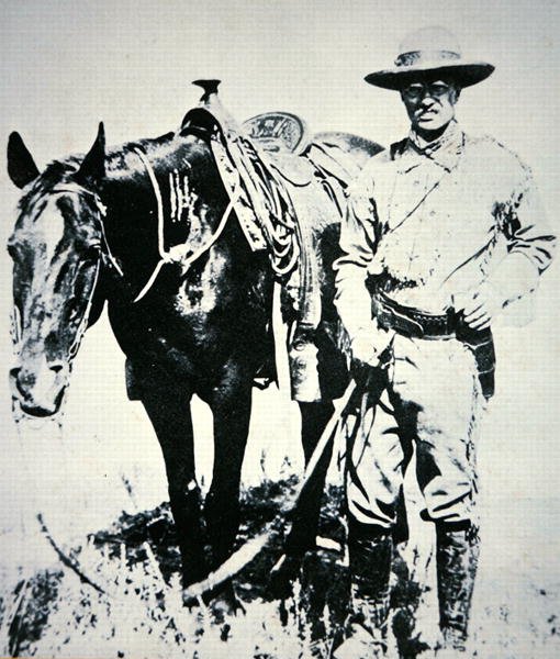 Theodore Roosevelt mit seinem Pferd, um 1885 von American School