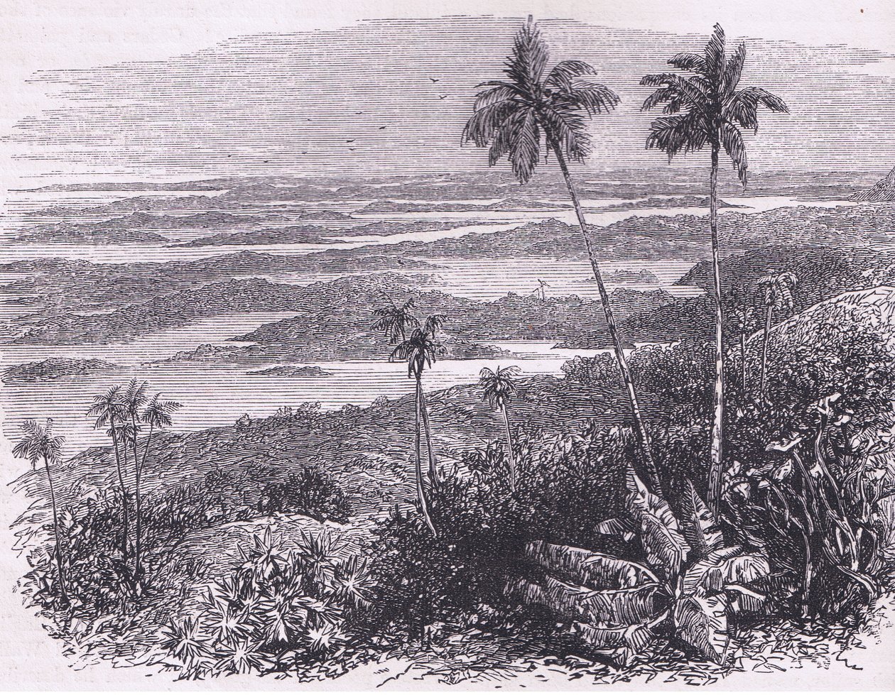 Ansicht der Bermudas, Illustration aus Cassell