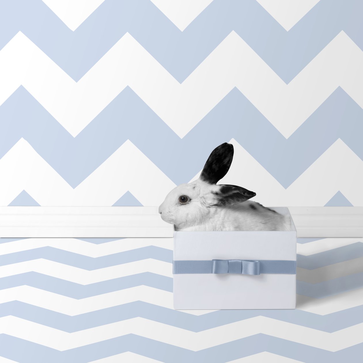 Bunnies 06, 2018 von Ana Carolina Tavares Mizrahi