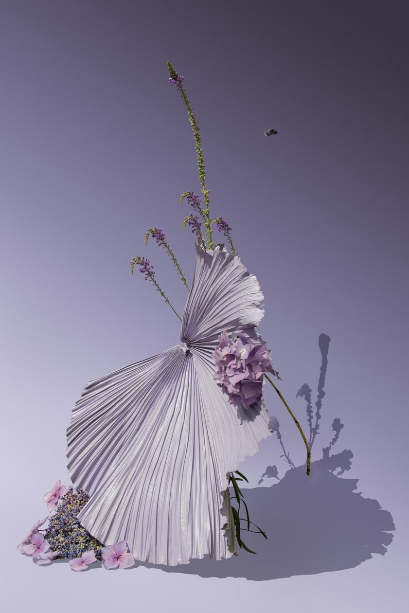 Ikebana 01, 2018 von Ana Carolina Tavares Mizrahi