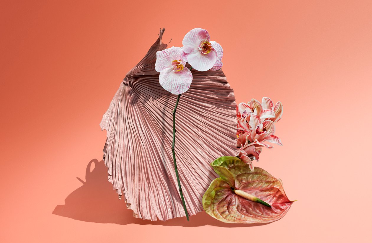 Ikebana 06, 2018 von Ana Carolina Tavares Mizrahi