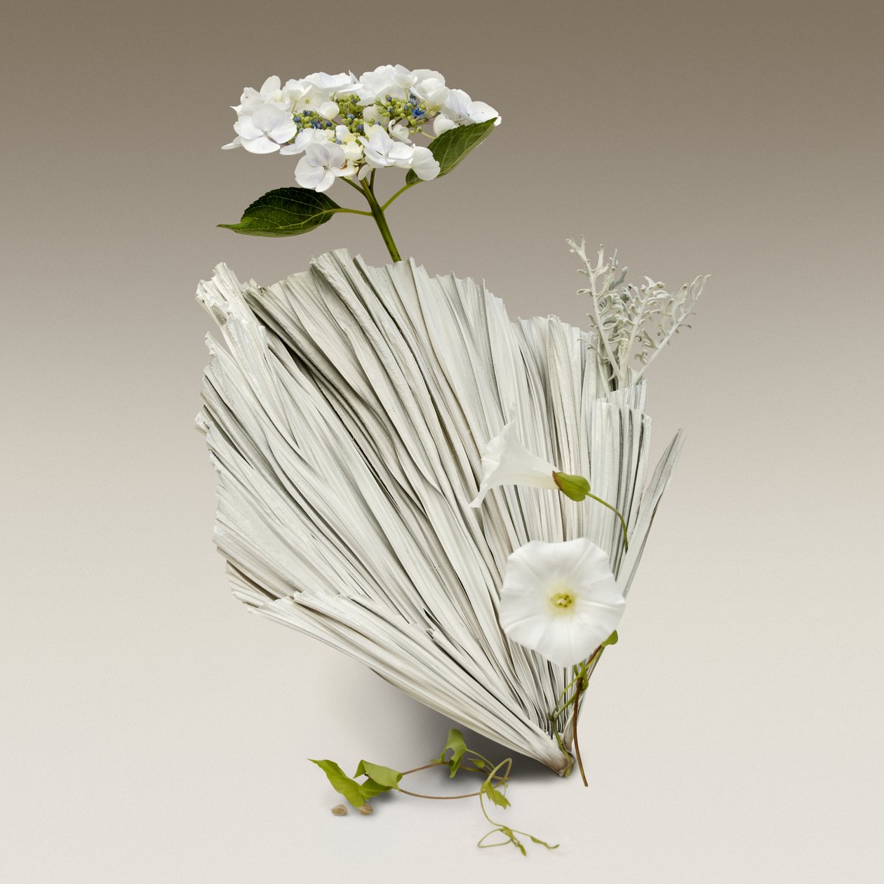 Ikebana 08, 2018 von Ana Carolina Tavares Mizrahi