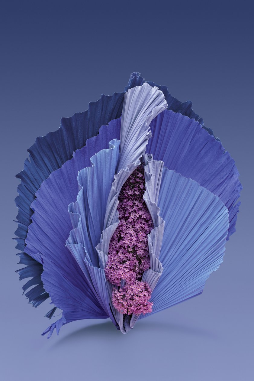 Ikebana 11, 2018 von Ana Carolina Tavares Mizrahi