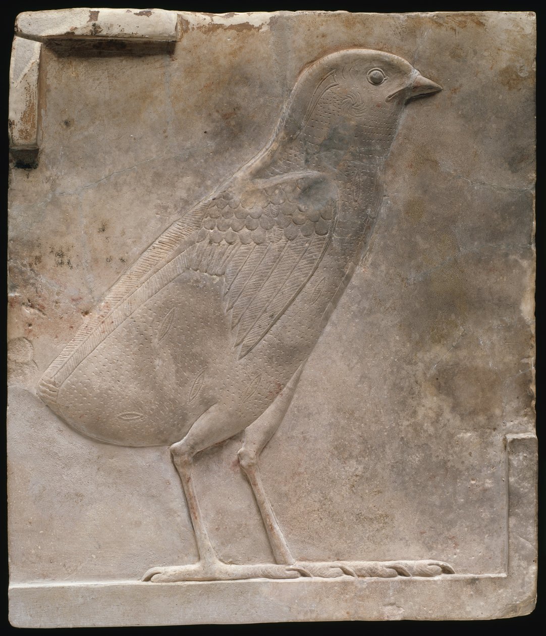 Plakette mit einem Wachtelküken von Ancient Egyptian