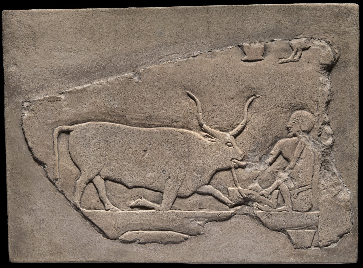 Wandfragment aus einem Grab, das einen Hirten darstellt von Ancient Egyptian