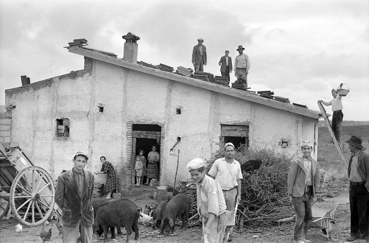Feier der Dachabdeckung von Ando Gilardi