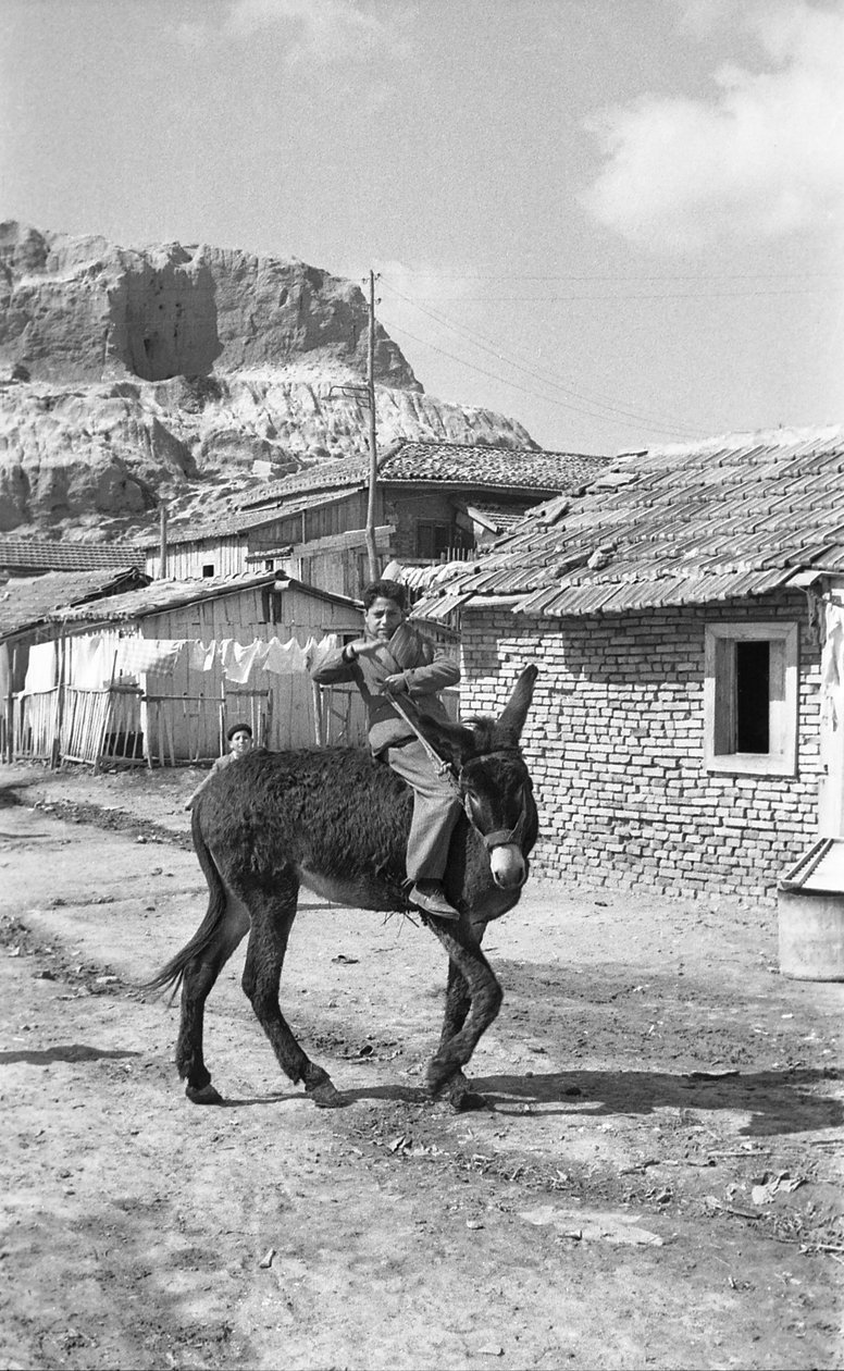 Crotone - Junger Maultiertreiber von Ando Gilardi