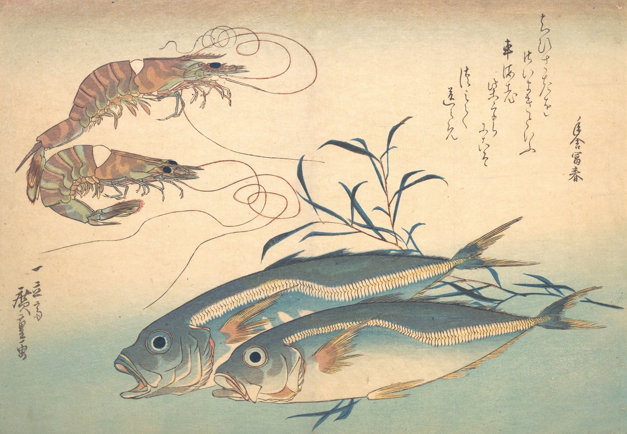 Aji-Fisch und Kuruma-Ebi, aus der Serie Uozukushi Jede Fischart von Ando Hiroshige