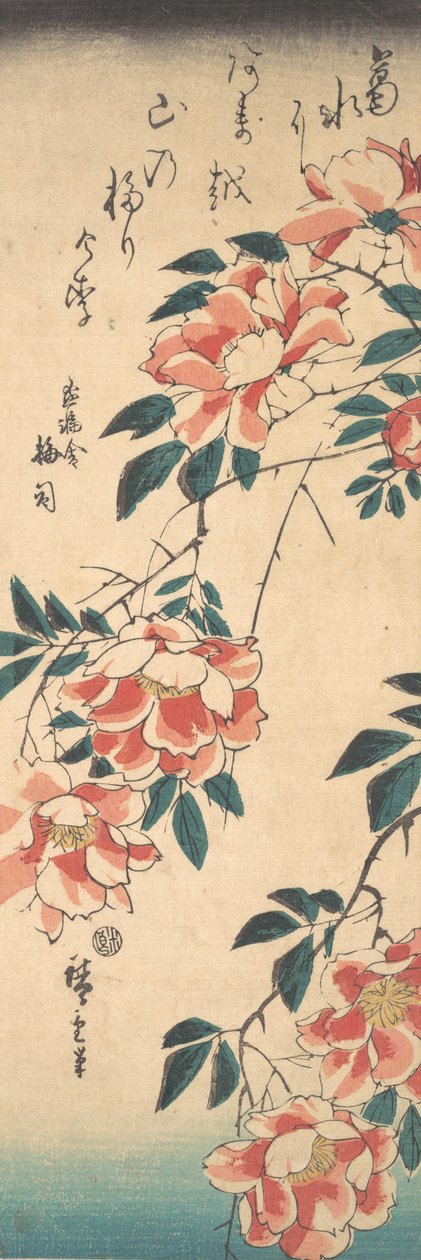 Rosen, ca. 1843 von Ando Hiroshige