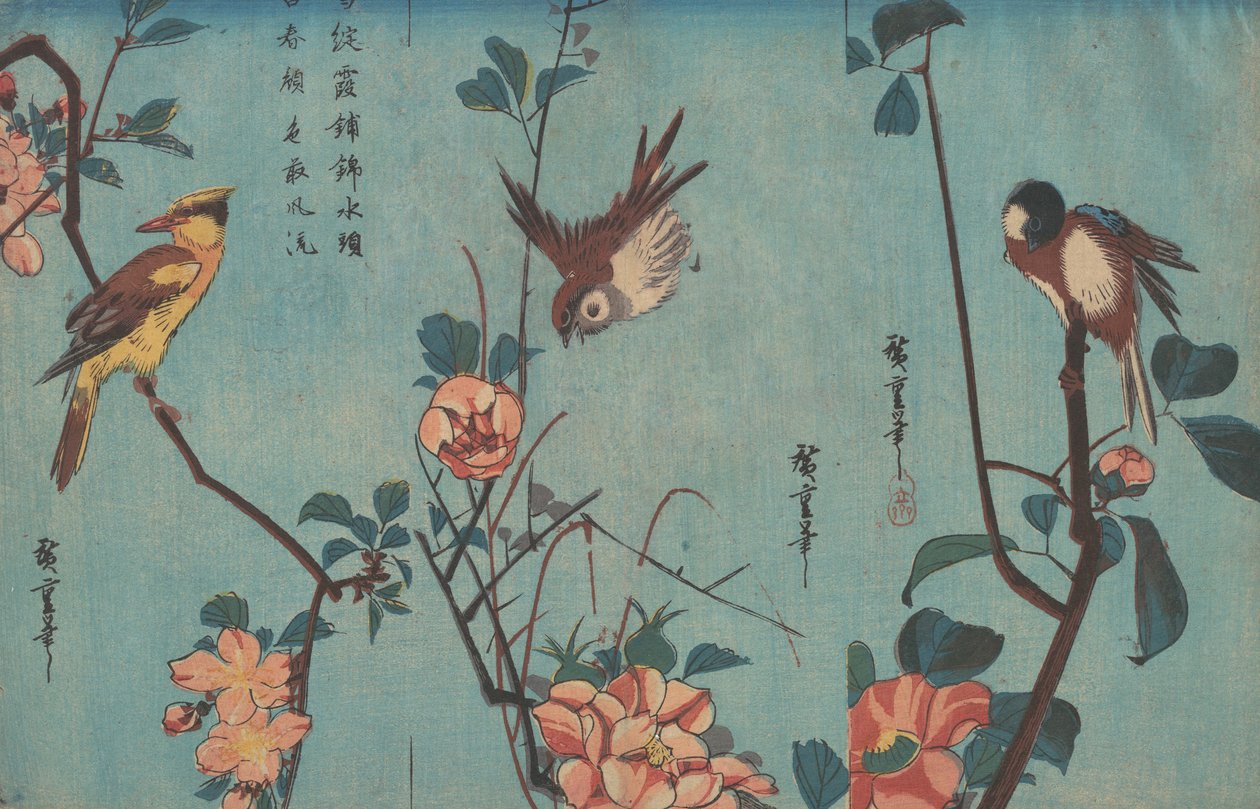 Meise und Kamelien, Spatz und Wildrosen und Schwarzkehlchen und Kirschblüten von Ando or Utagawa Hiroshige