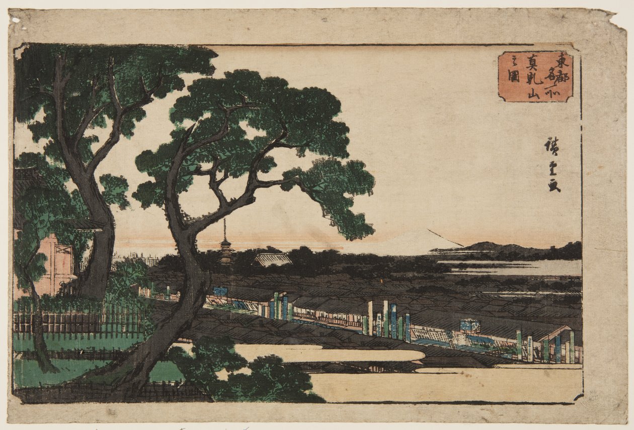 Blick auf Matsuchiyama (Matsuchiyama no zu) von Ando or Utagawa Hiroshige