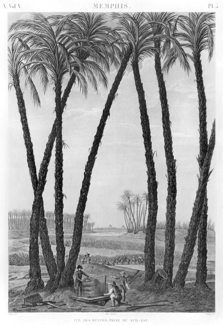 Ansicht der Ruinen von Memphis vom Südosten aus gesehen, graviert von Jean Louis Delignon (1755-1804) von Andre Dutertre