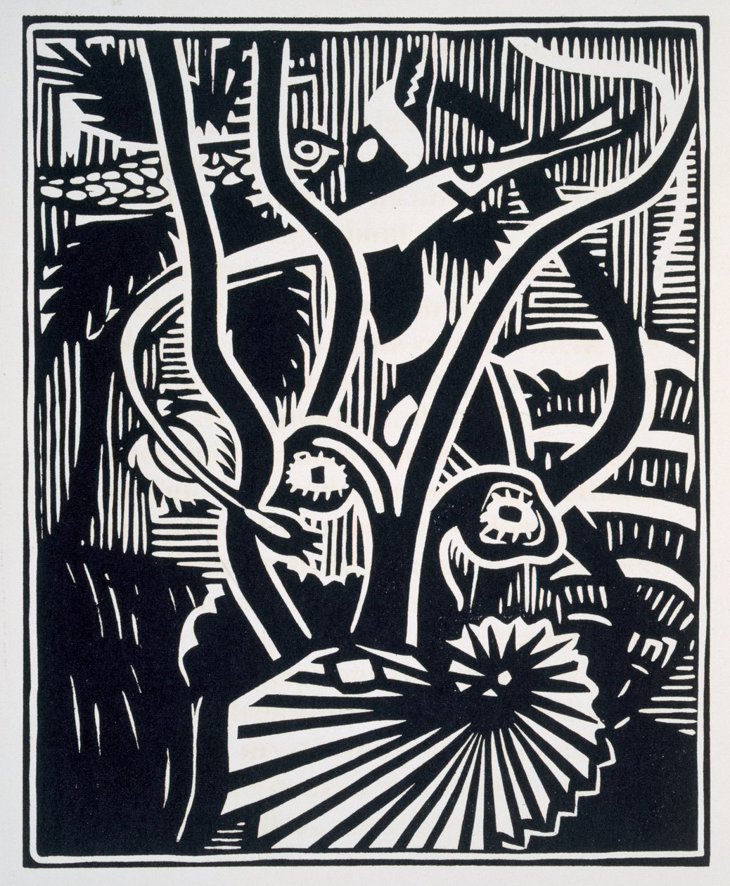 Illustration aus 