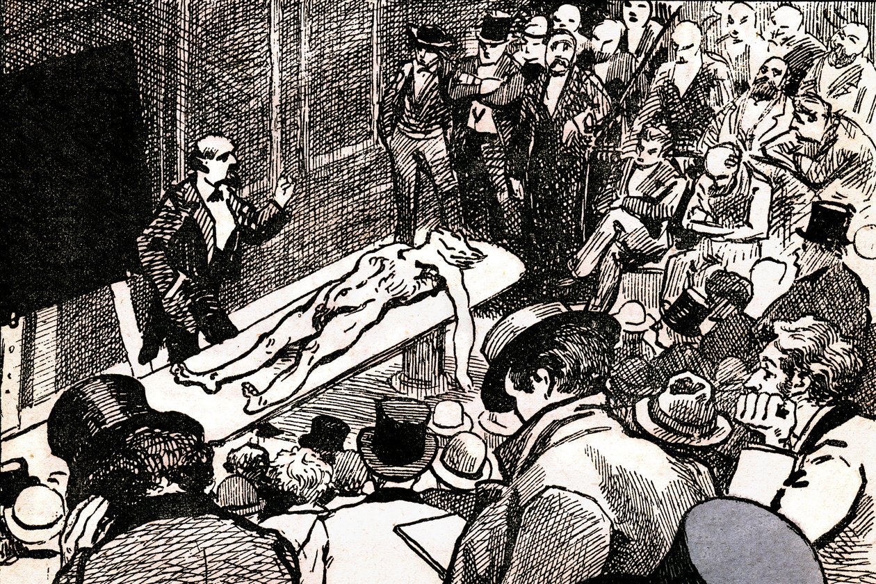 Illustration aus 