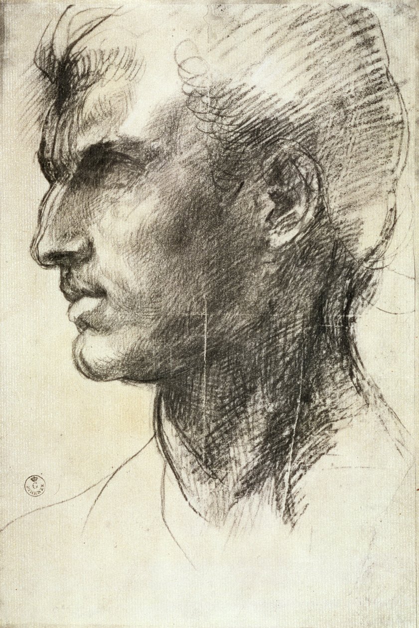 Studie eines männlichen Kopfes von Andrea del Sarto