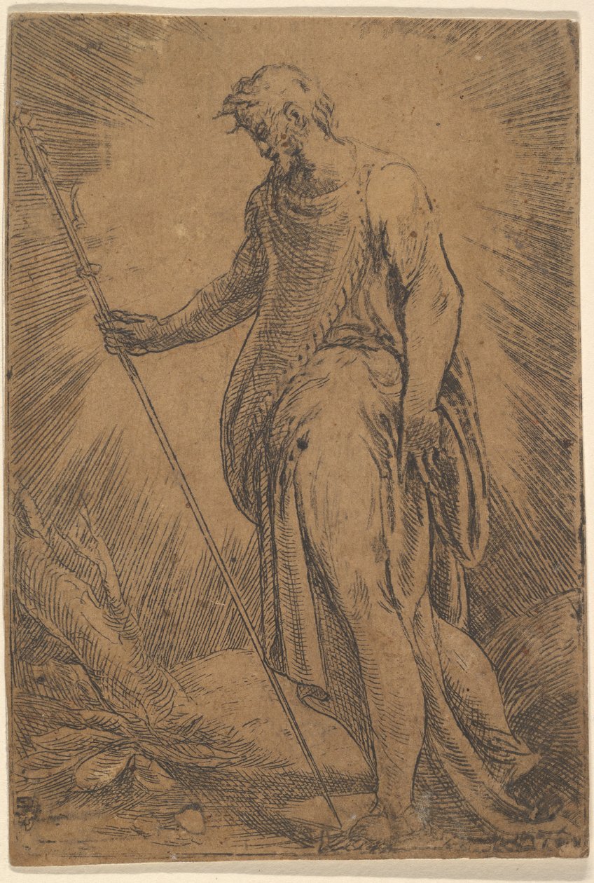 Ein Apostel mit einem Stab nach links, ca. 1540-60 von Andrea Schiavone