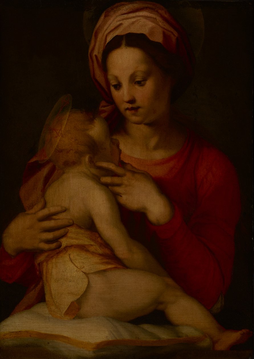 Die Madonna mit Kind von Andrea del (attr.to) Sarto