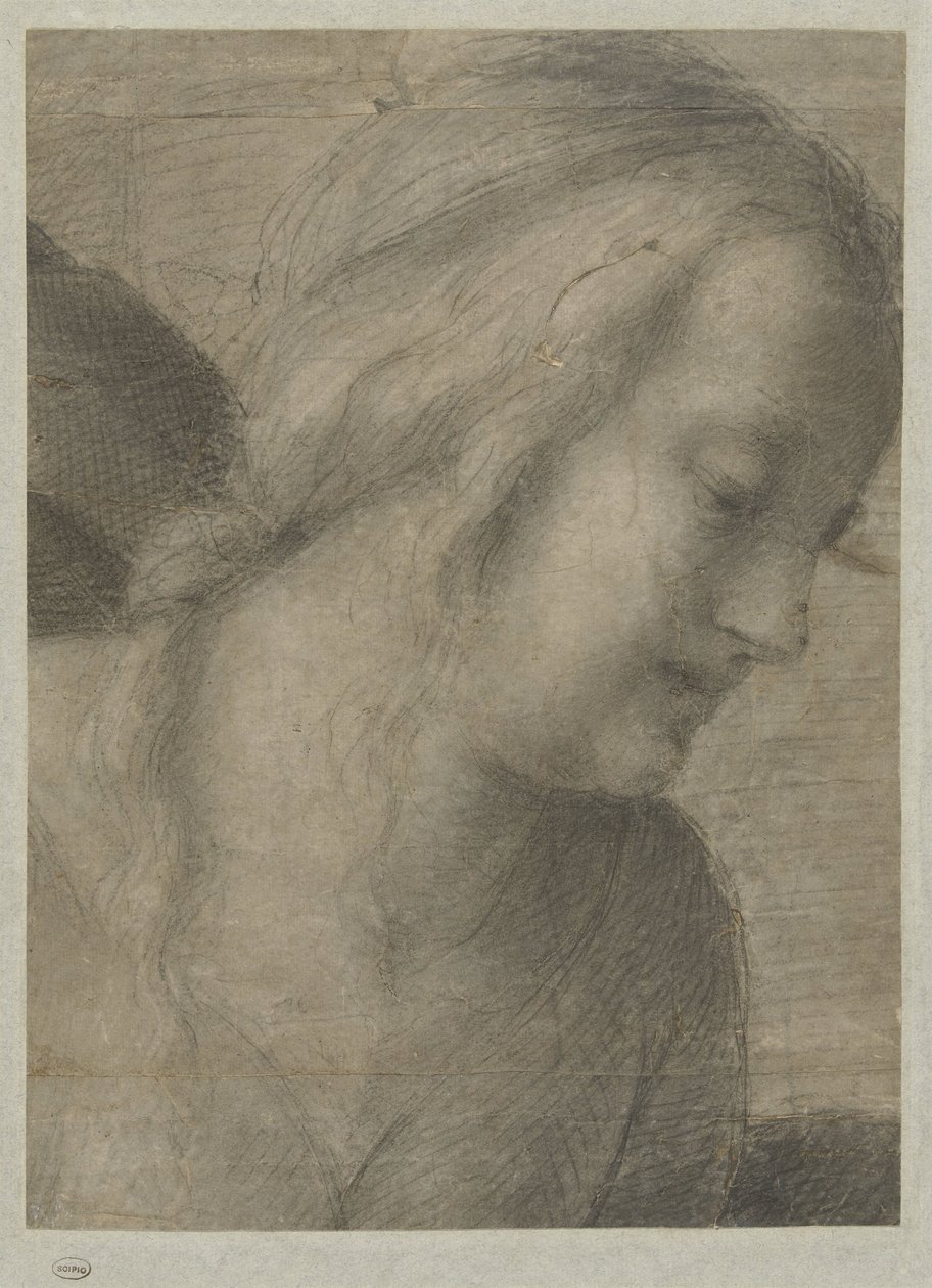 Kopf von Maria, in einer Anbetung von Andrea del Sarto