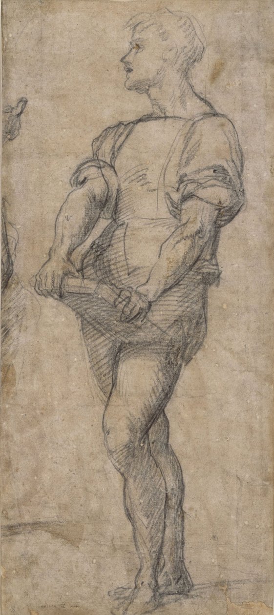 Stehender Jüngling, der ein Buch hält, ca. 1515 von Andrea del Sarto