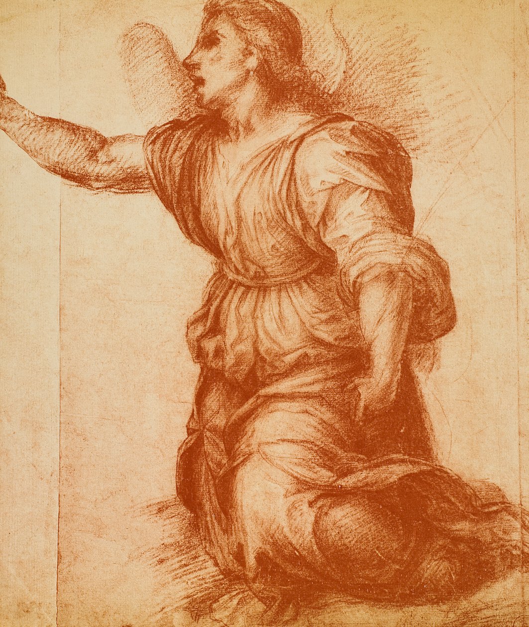 Studie eines Engels (für die Verkündigung) von Andrea del Sarto