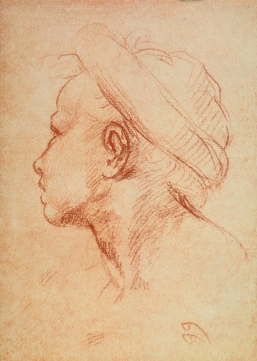 Kopf eines jungen Mannes im Profil von Andrea del Sarto