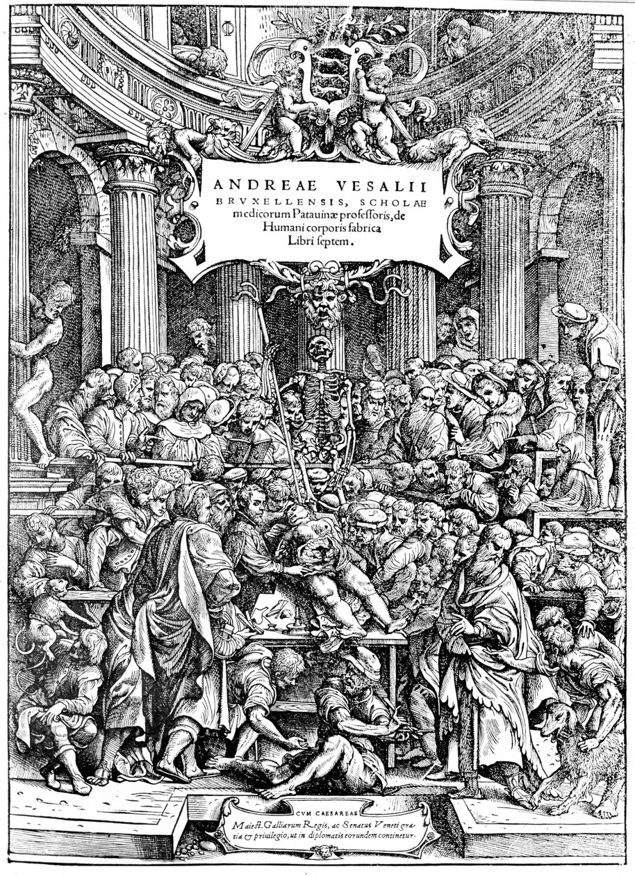 Titelseite von Andreas Vesalius De Humani Corporis Fabrica, zeigt Vesalius beim Sezieren eines Körpers, 1543 von Andreas Vesalius