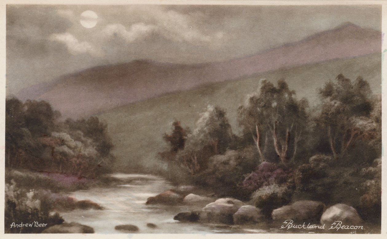 Dartmoor: Buckland Beacon von Andrew Beer