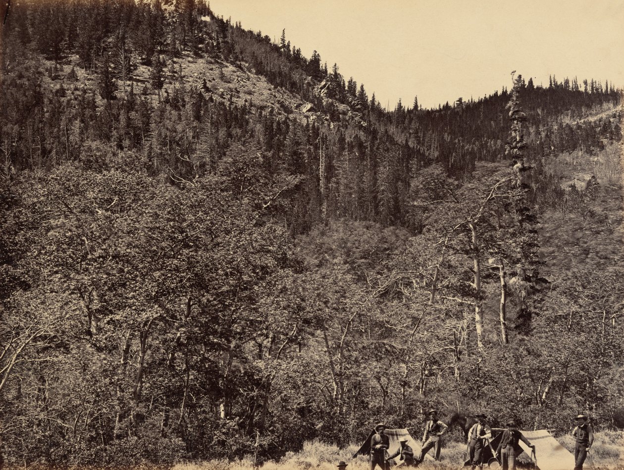 Tafel 19. Unter den Bäumen am Kopf des Little Laramie River, 1869 von Andrew Joseph Russell