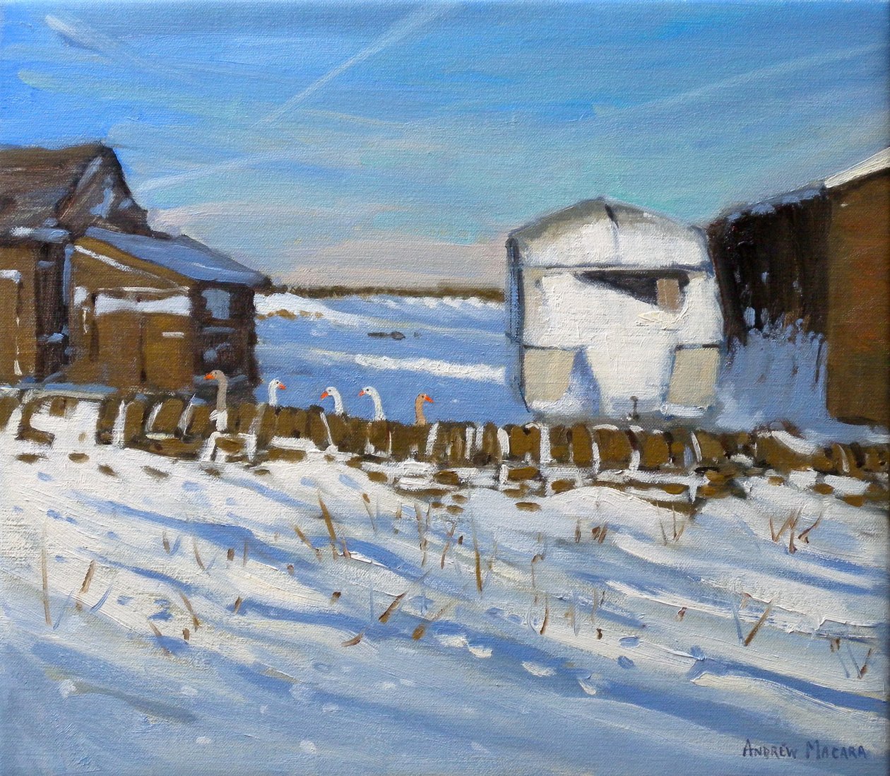 Wohnwagen und Gänse, Derbyshire, 2011 von Andrew Macara