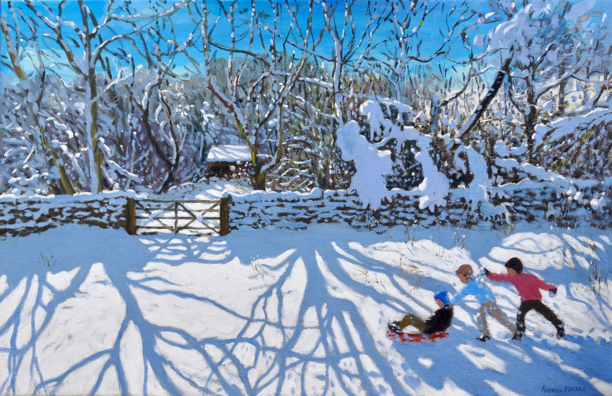 Schlittenfahren, Gambols Lane, Dovehead, High Peak, Derbyshire von Andrew Macara