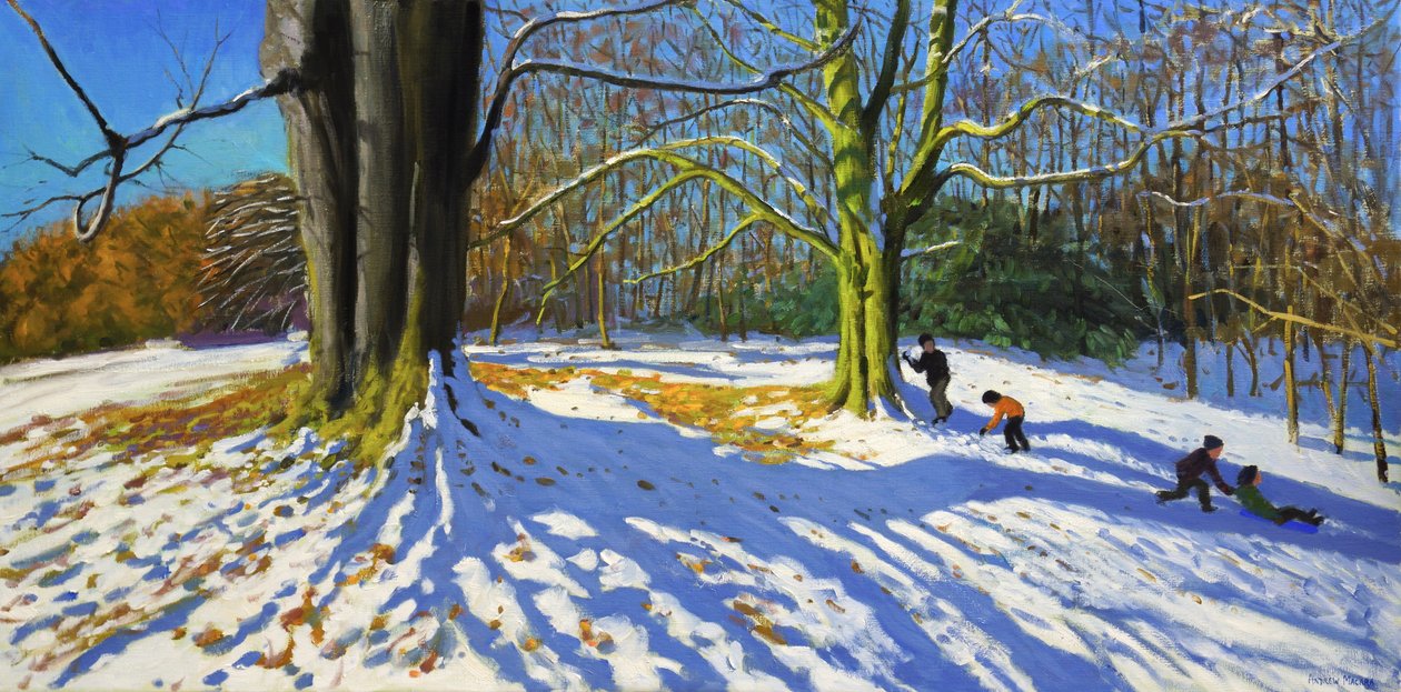 Top von Allestree Park von Andrew Macara