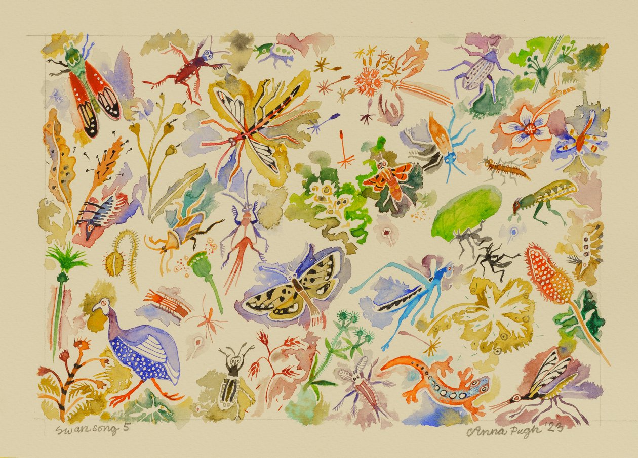 5 Schwanengesang von Anna Pugh