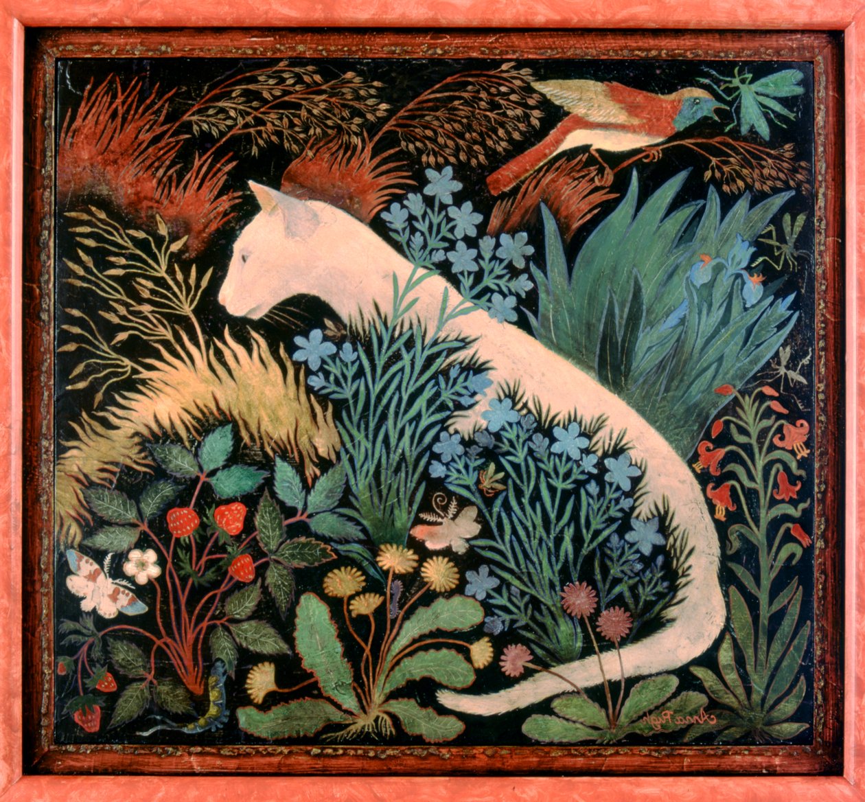 Albino von Anna Pugh