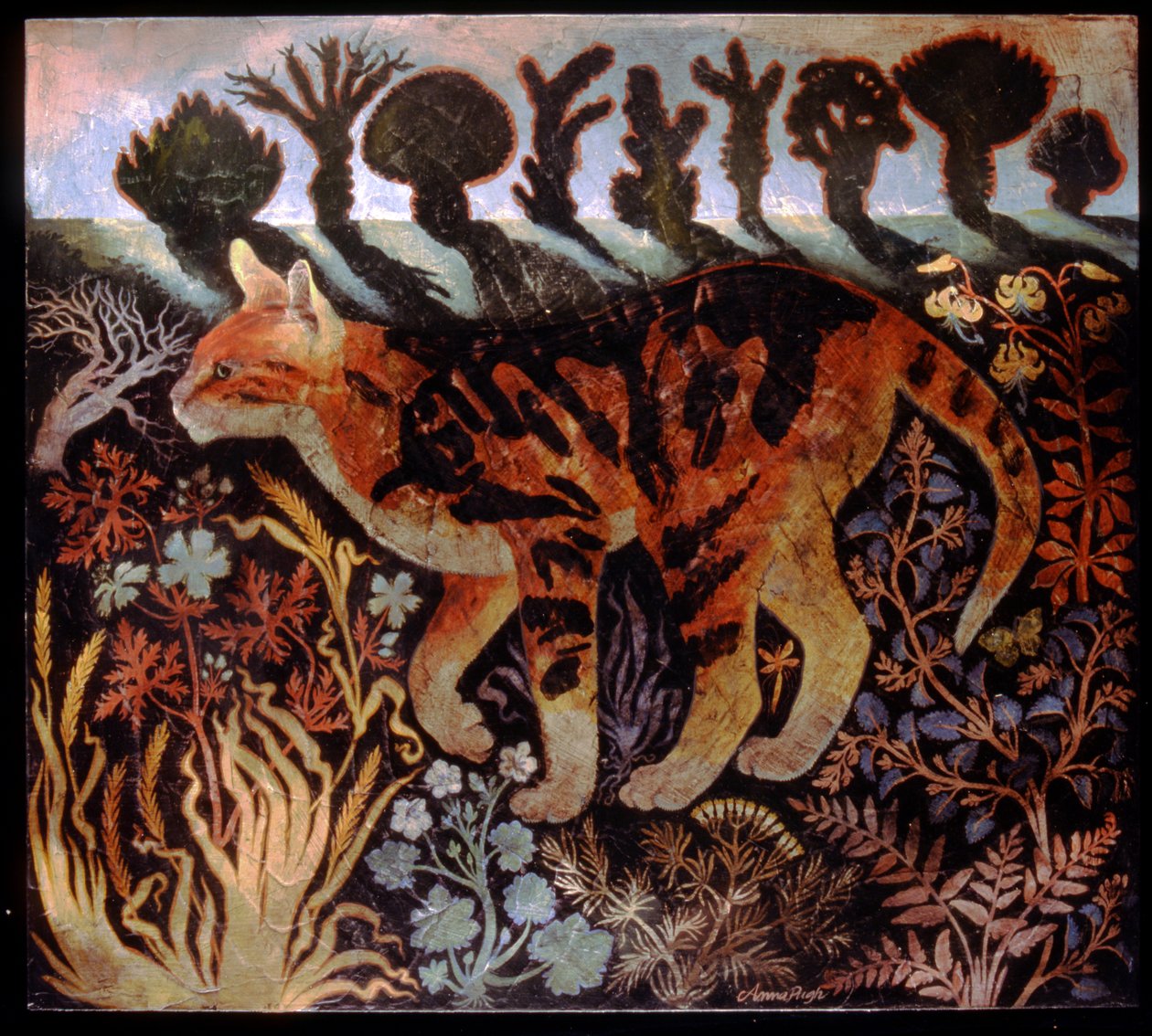 Cambridge-Katze von Anna Pugh