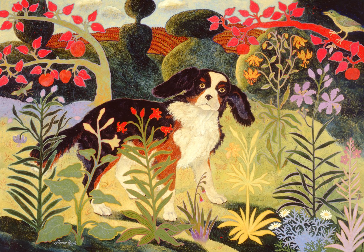 Raus aus dem Garten von Anna Pugh