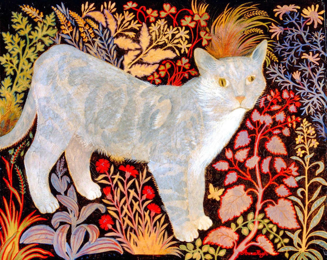 Silberne Tabby von Anna Pugh