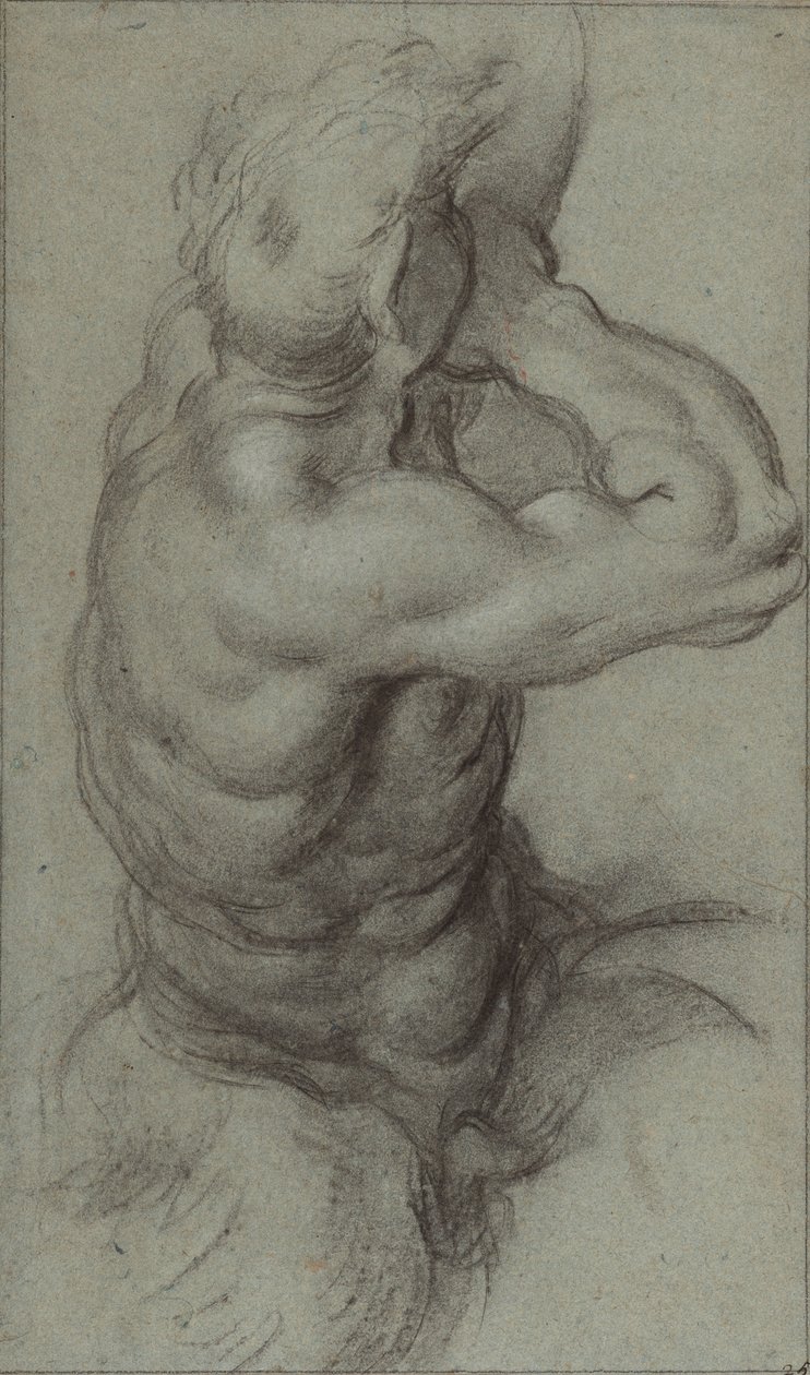 Studie eines Tritons, der in ein Tritonshorn bläst (Vorderseite); Teilstudie eines Arms (Rückseite) von Annibale Carracci