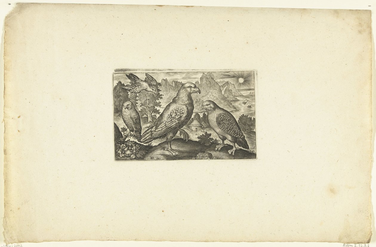 Adler und ein Rebhuhn von Anonymous