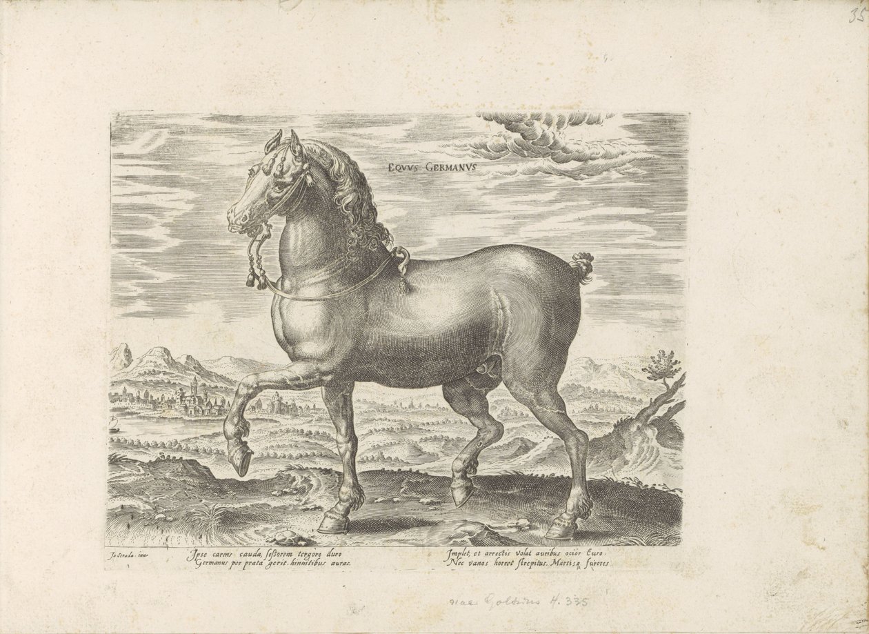 Deutsches Pferd von Anonymous