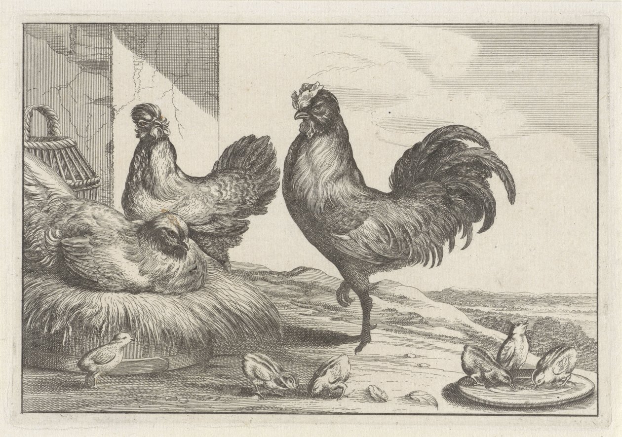 Huhn, Hähne und Küken von Anonymous