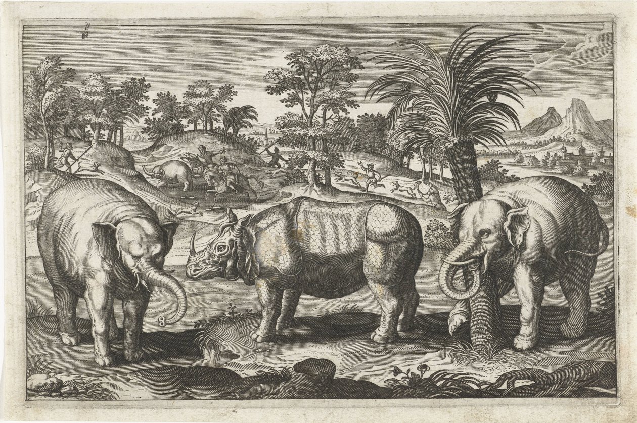 Elefanten und Nashorn von Anonymous