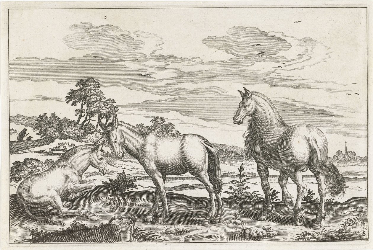 Pferd und Esel von Anonymous
