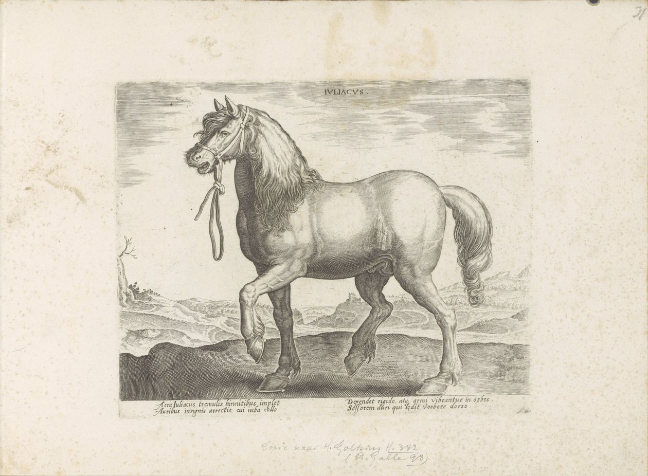 Pferd aus Jülich von Anonymous