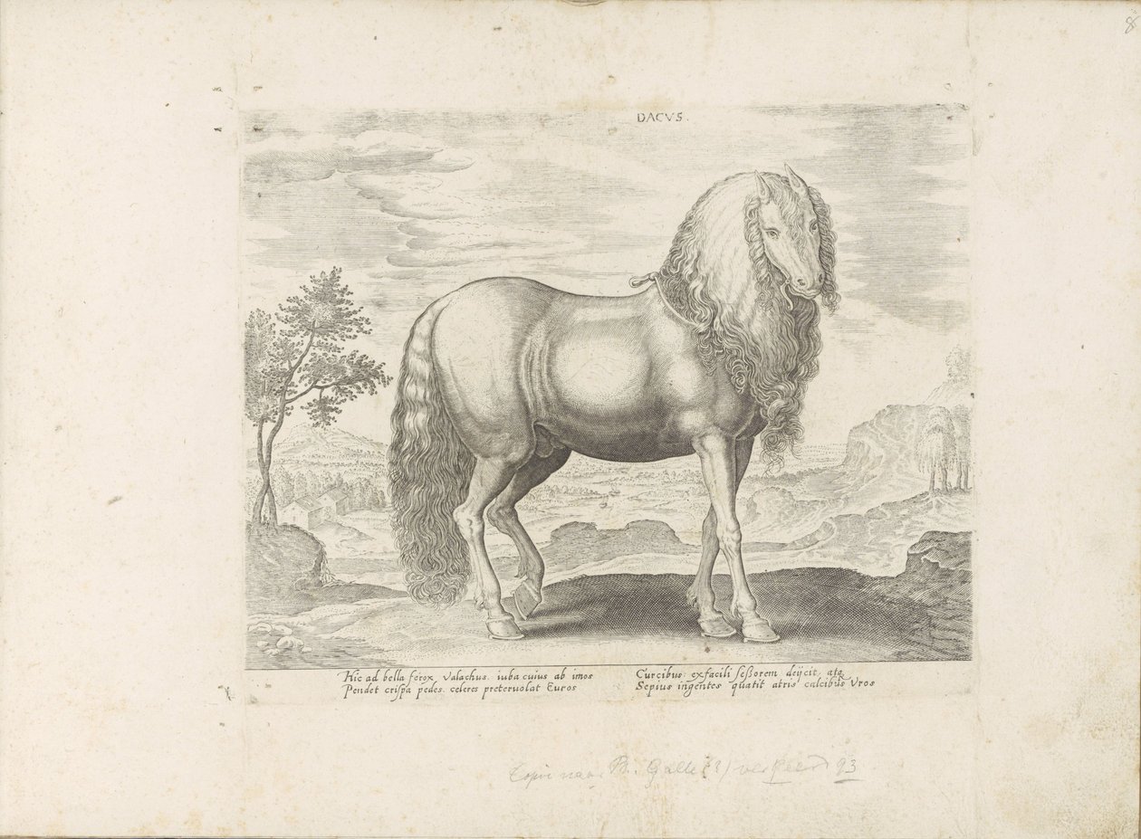 Pferd aus Rumänien (Dacus) von Anonymous
