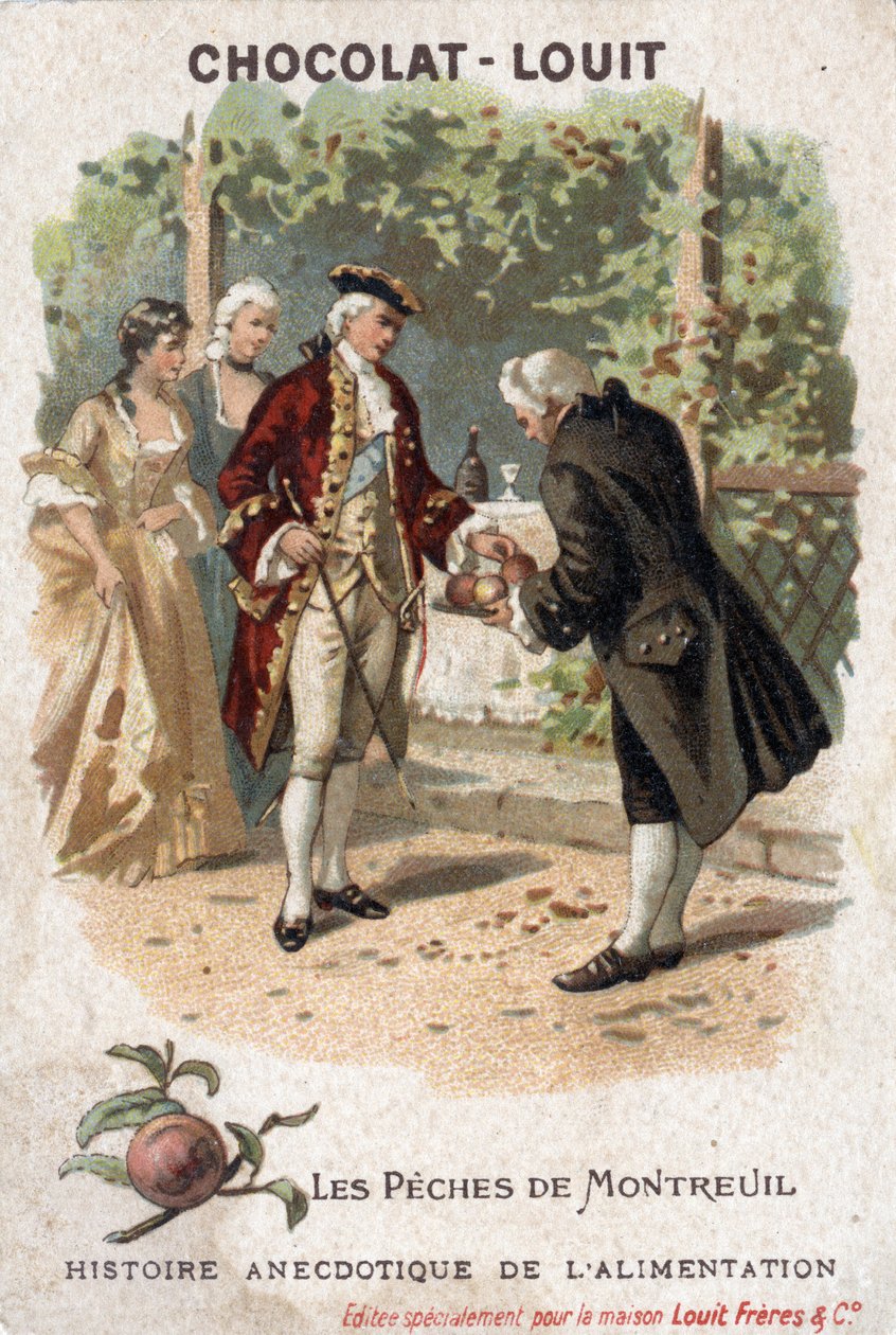 Anekdotische Geschichte des Essens: Montreuils Pfirsiche. Die hier dargestellten sind in Wirklichkeit die Spalierpfirsiche von Bagnolet. Der König von Frankreich, Ludwig XV., kommt mit seinem Hof, um die von Monsieur Edmee de Girardot angebauten Pfirsiche  von Anonymous Anonymous