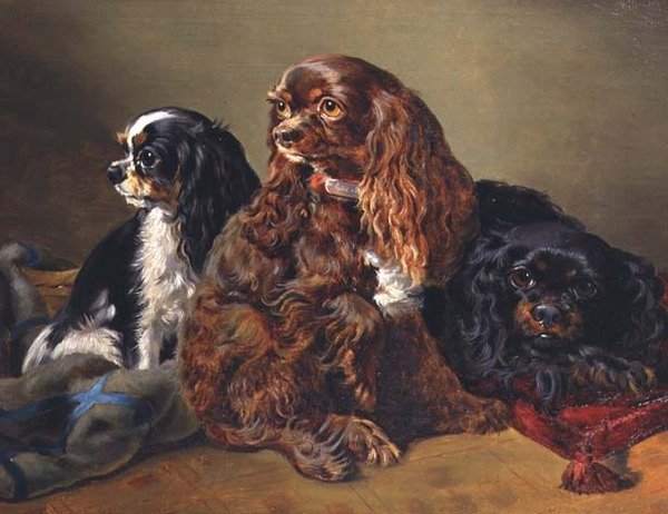 King Charles Spaniels von Anonymous Anonymous: Kunstdruck