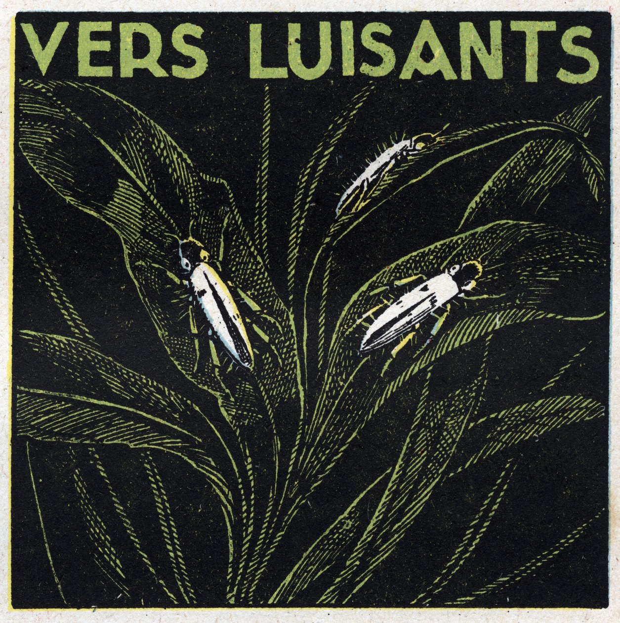 Phosphoreszenz: Leuchtendes Grün. Anonyme Illustration von 1925. Private Sammlung. von Anonymous Anonymous