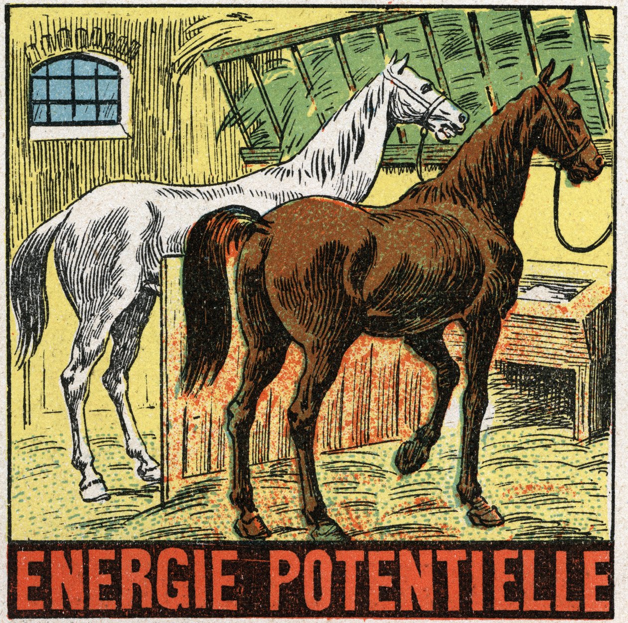 Potentielle Energie: Pferde ruhen in einem Stall. Anonyme Illustration von 1925. Private Sammlung. von Anonymous Anonymous