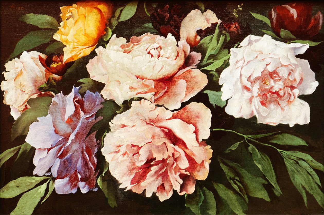 Pfingstrosen von Anselm Feuerbach
